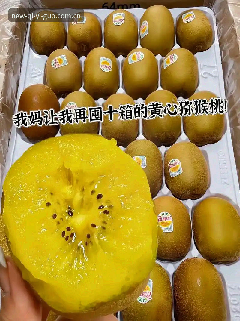 奇异果体育客户端手机版 奇异果体育客户端手机版:快速上手的5个关键技巧