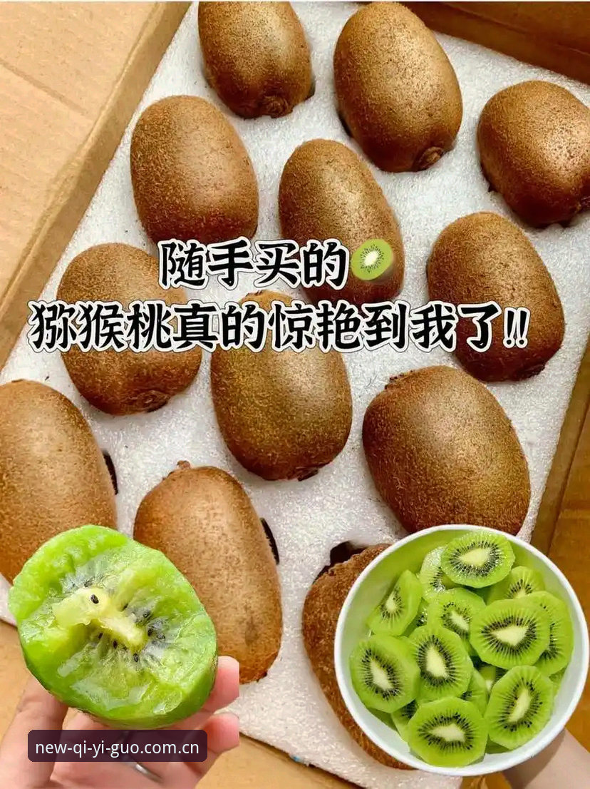 奇异果体育直播软件官方下载完整指南：新手也能轻松掌握的安装与使用技巧
