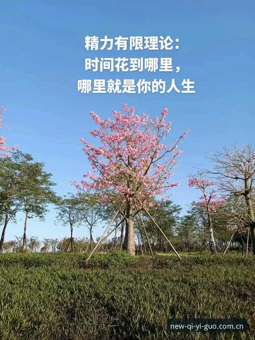 揭秘奇异果体育2025最新版：一个技术极客的深度评测，这些隐藏细节你可能从未注意