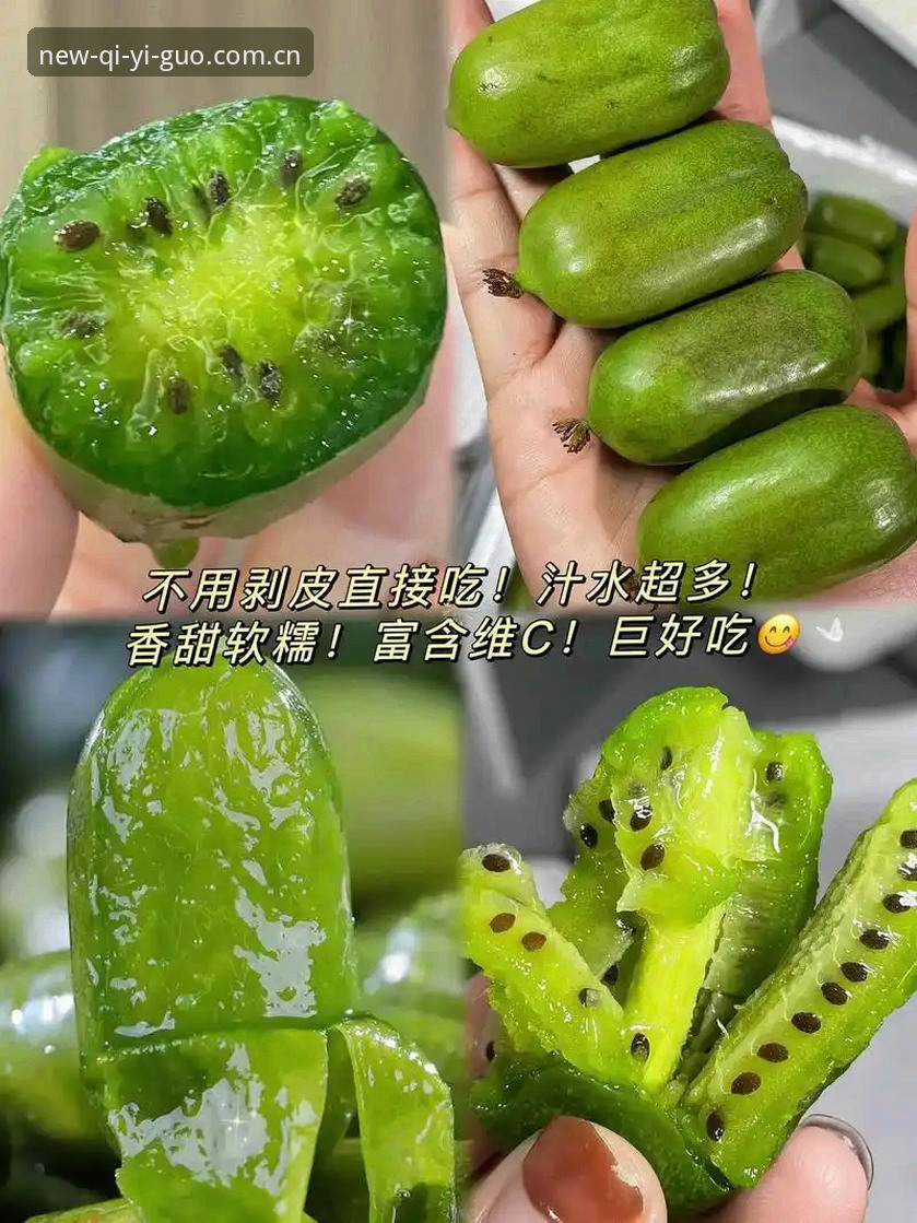 奇异果体育在线直播常见问题 奇异果体育在线直播常见问题详解:从卡顿处理到版本更新的实用指南