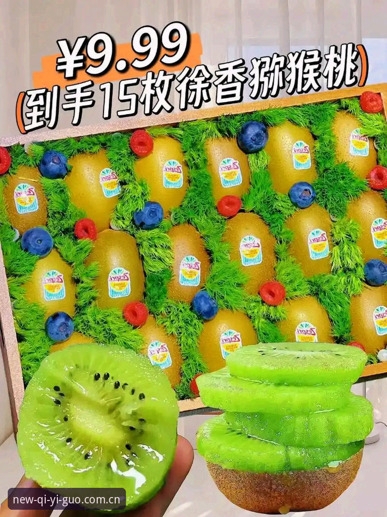 奇异果体育直播软件官方下载完整指南：新手也能轻松掌握的安装与使用技巧